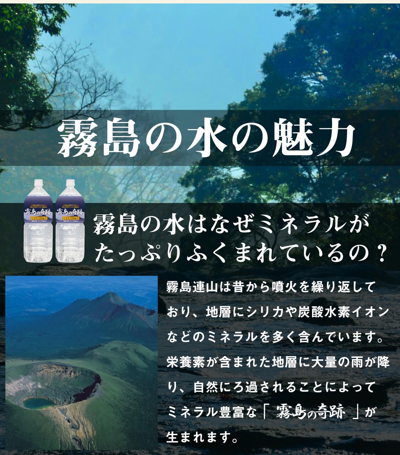 初回お試し 霧島の奇跡6本入１箱 京都せんべい おかき専門店 寺子屋本舗 公式サイト